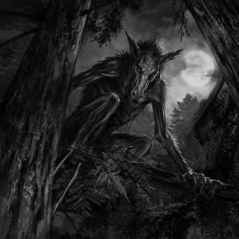 The Woods Devil
