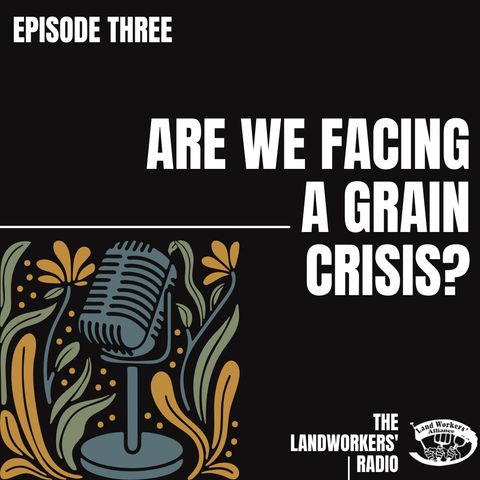 Are we facing a grain crisis?