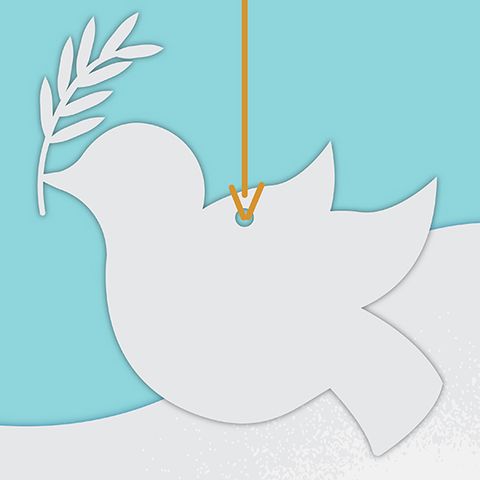 Peace Reigns [Advent Day 25]