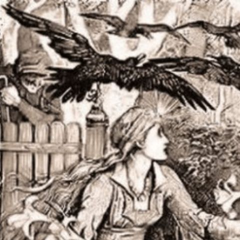 Die zwölf Brüder | Hexengeschichten