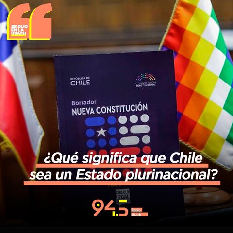 ¿Qué significa que Chile sea un Estado plurinacional?