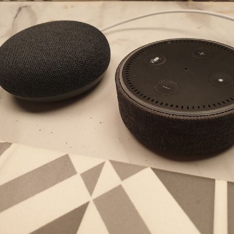Using Smart Speakers At Home E489