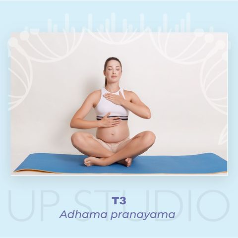 T3 Adhama Pranayama