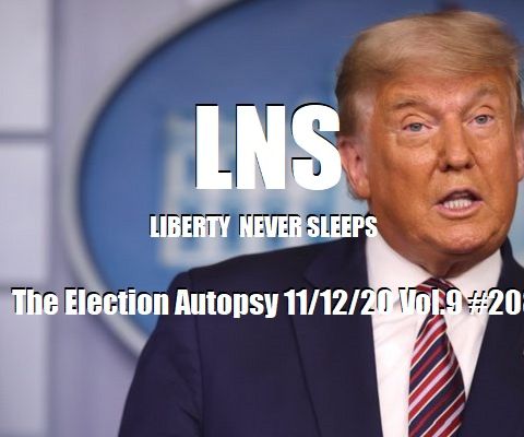 The Election Autopsy 11/12/20 Vol.9 #208