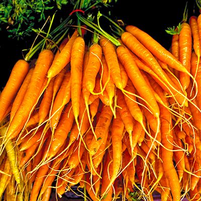 Les énigmatiques carottes