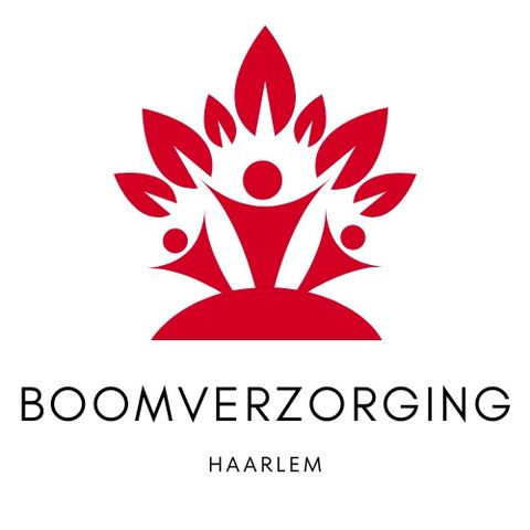 Het planten van nieuwe bomen Waar moet je op letten