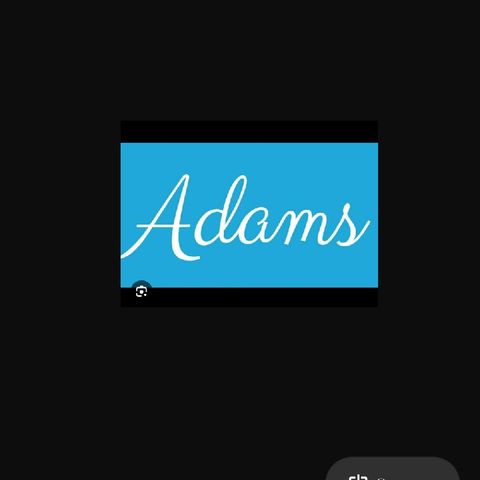 Q.1. Adams group