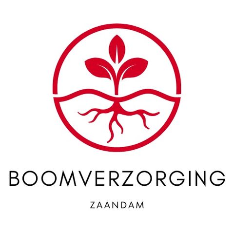 Boomverzorging en klimaatverandering