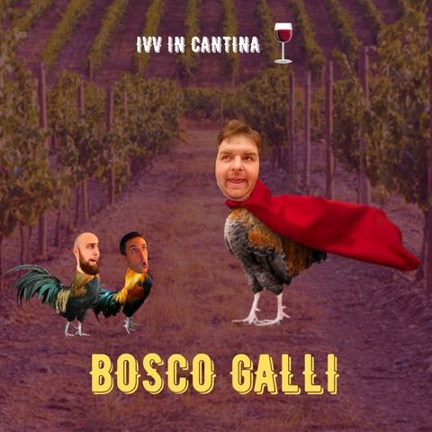 #28 - IVV in Cantina - Bosco Galli