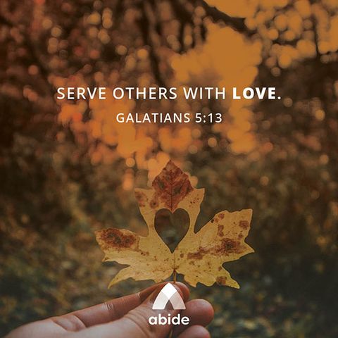 Serve Others Freely