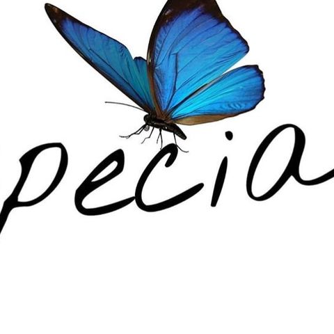 Special🦋