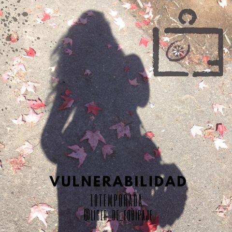 Vulnerabilidad