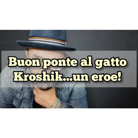 Episodio 1405 - Buon ponte al gatto Kroshik...un eroe!