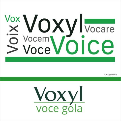 Voxyl & Voice: due parole con molte cose in comune