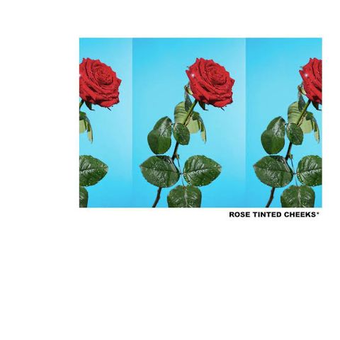 ROSE TINTED CHEEKS*