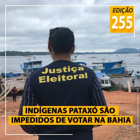 Vota, parente - Indígenas Pataxó são impedidos de votar na Bahia