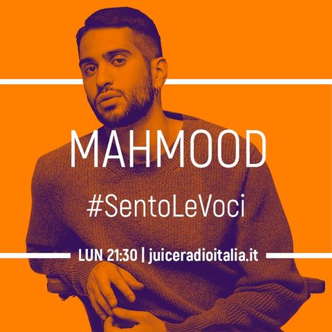 #15 Mahmood