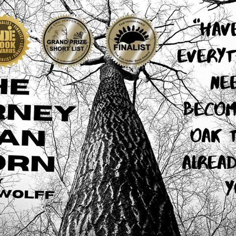 Corey Wolff discussing his book ( The journey of an Acorn ) Childrens and young adult book
