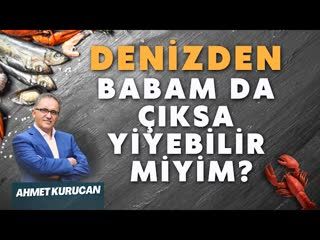 Hangi Deniz Ürünleri Yenir, Hangileri Yenmez   AHMET KURUCAN