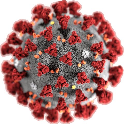 01PDT- Coronavirus. AGS