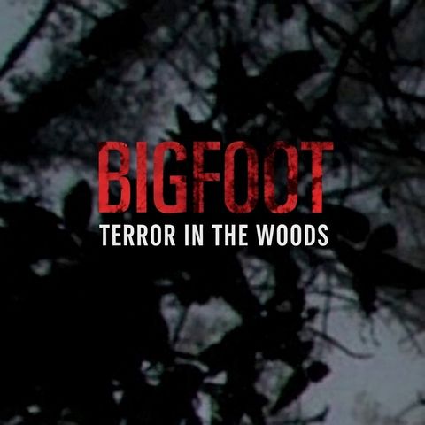 Roadside Bigfoot Sighting in the Chattahoochee - Bigfoot Terror In The  Woods