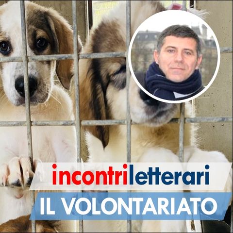 IL VOLONTARIATO