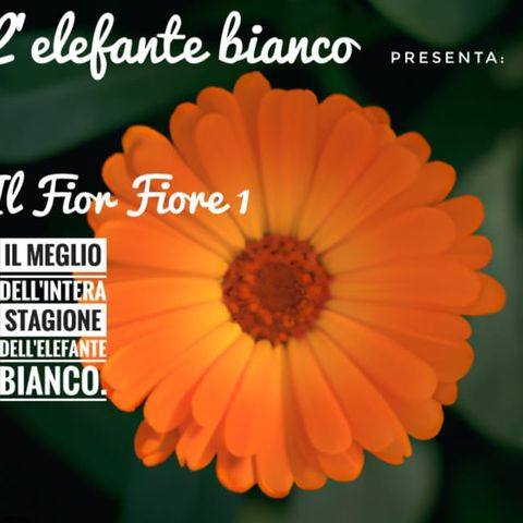 Best of Elefante Bianco