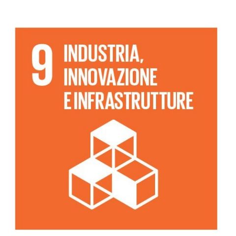Articolo 9 Agenda ONU 2030: industria, innovazione e infrastrutture