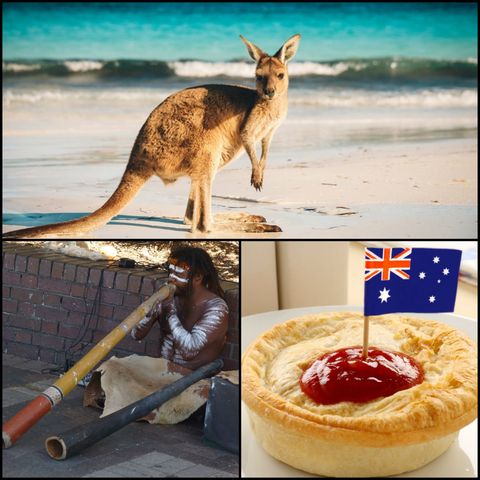Australia - Marsupiales y corales