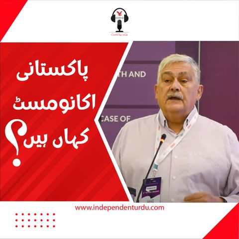 پاکستانی اکانومسٹ کہاں ہیں؟