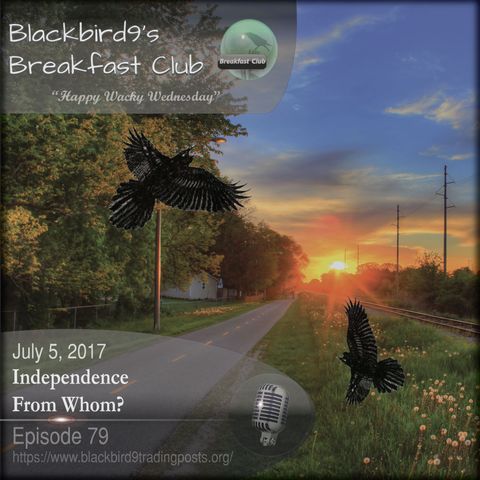Independence From Whom? - Blackbird9 Podcast