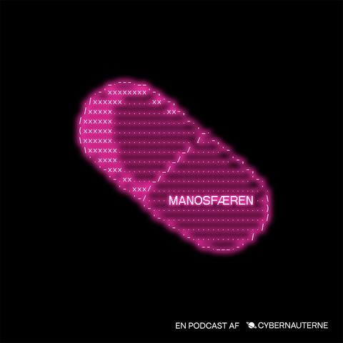 Manosfæren #2: Gamergate