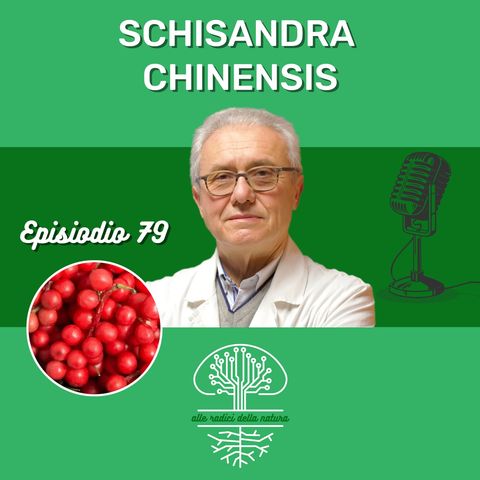 Schisandra chinensis