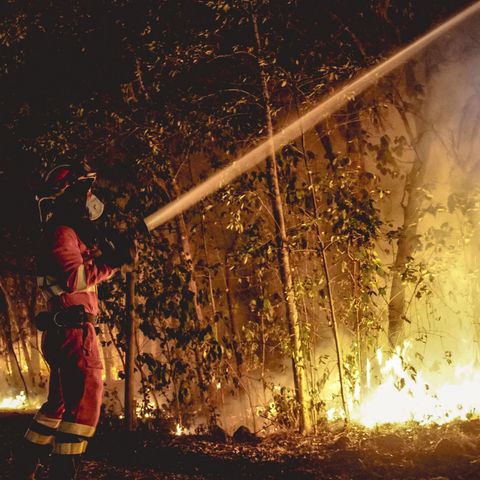 Alejandro González: " La UME está preparada para la campaña de incendios con más de 3.000 militares en alerta"