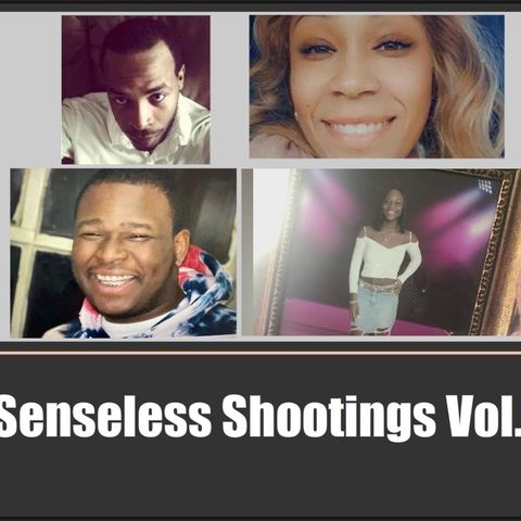 Senseless Shootings Vol. 1