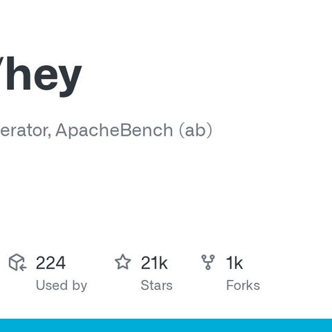 GitHub - rakyll/hey: HTTP load generator, ApacheBench (ab) replacement