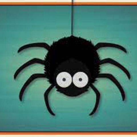 Buggy Joe's facts about spiders