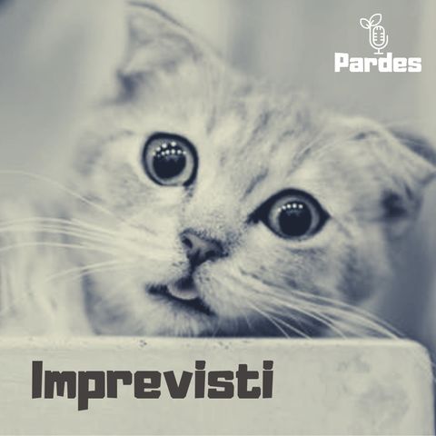 PARDES 045 - e - imprevisti