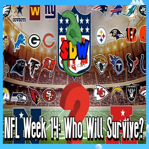 NFL Week 14: Who Will Survive?