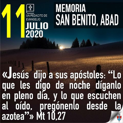 Homilía 11 Julio 2020 Qué hacer si el ambiente de mediocridad nos llena de frustración