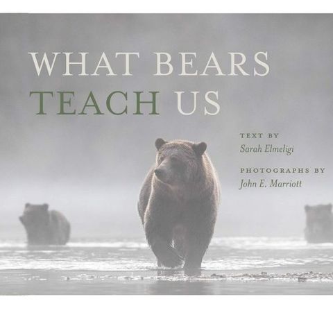 WHAT BEARS TEACH US  Author Sarah Elmeligi talks with Eli Francovich