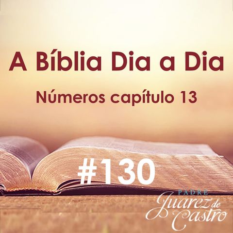 Curso Bíblico 130 - Números Capítulo 13 - A Missão dos Doze Exploradores - Padre Juarez de Castro