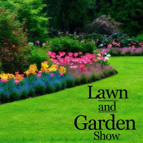 WOAI Lawn and Garden Show 6-17-17