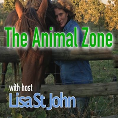Animal Zone Show 35