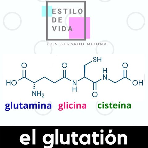 ➡️EL PRE-G ⏸GLUTATIÓN ⬅️