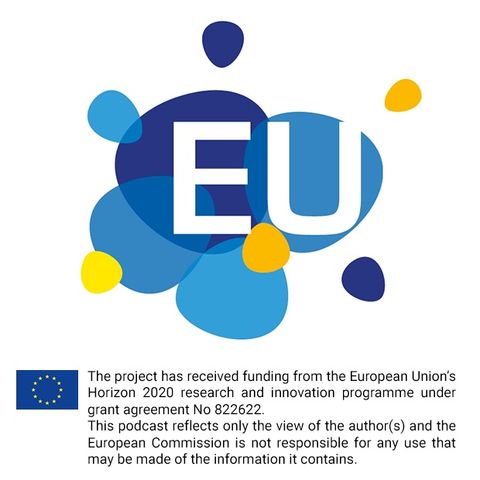 Euidea #7 - How effective is differentiation in the EU's economic policy field?