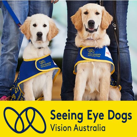 All About Seeing Eye Dogs - Dr Nicola Cotton