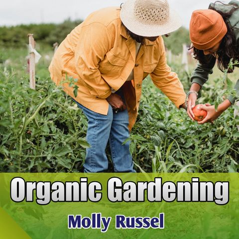 Gardening Supplies for Organic Vegetables