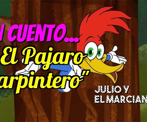 Un Cuento: El Pajaro Carpintero.