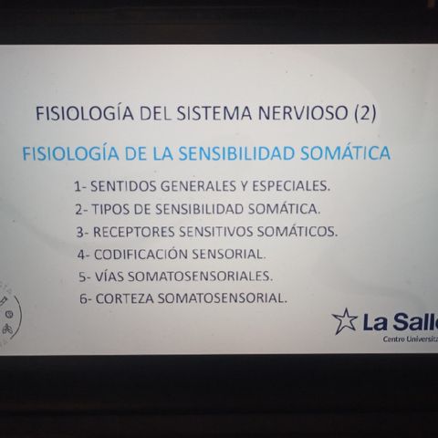 Fisiología sistema nervioso 2